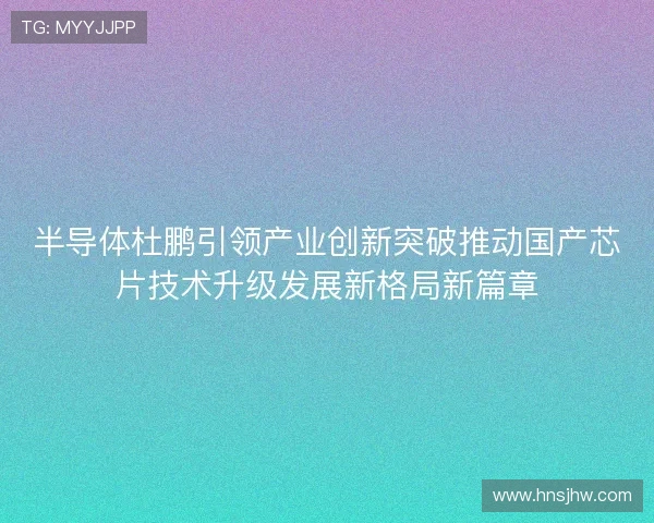 半导体杜鹏引领产业创新突破推动国产芯片技术升级发展新格局新篇章